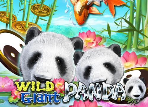 Wild Giant Panda