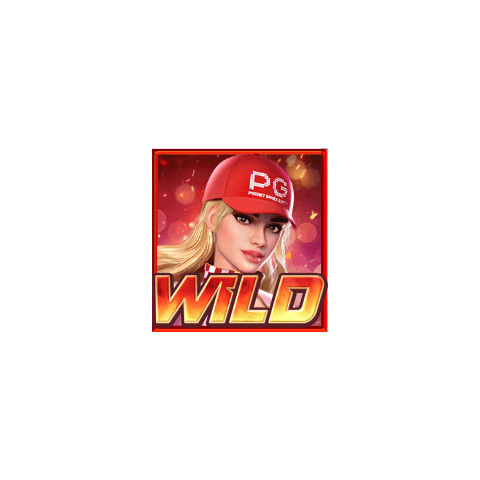 สัญลักษณ์พิเศษ Wild