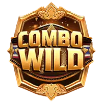 สัญลักษณ์ Wild Combo