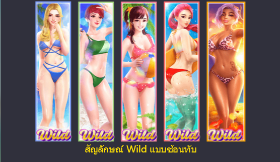 สัญลักษณ์ Wild