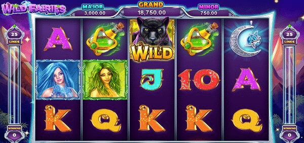 รูปแบบการเล่นเกม wild fairies