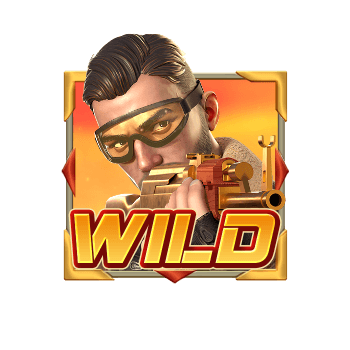 สัญลักษณ์ Wild