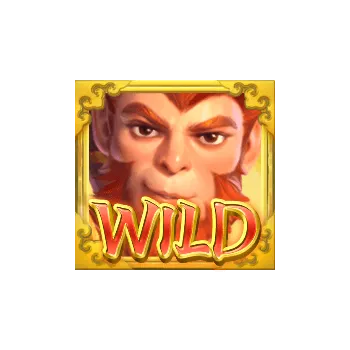 สัญลักษณ์พิเศษ wild